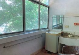 东桥路5号100平米3室2厅1卫出租