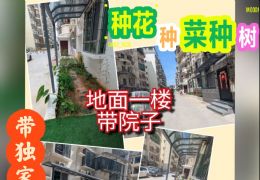 地面一楼带院子花园庭院露台飘窗三房3房二厅二手房